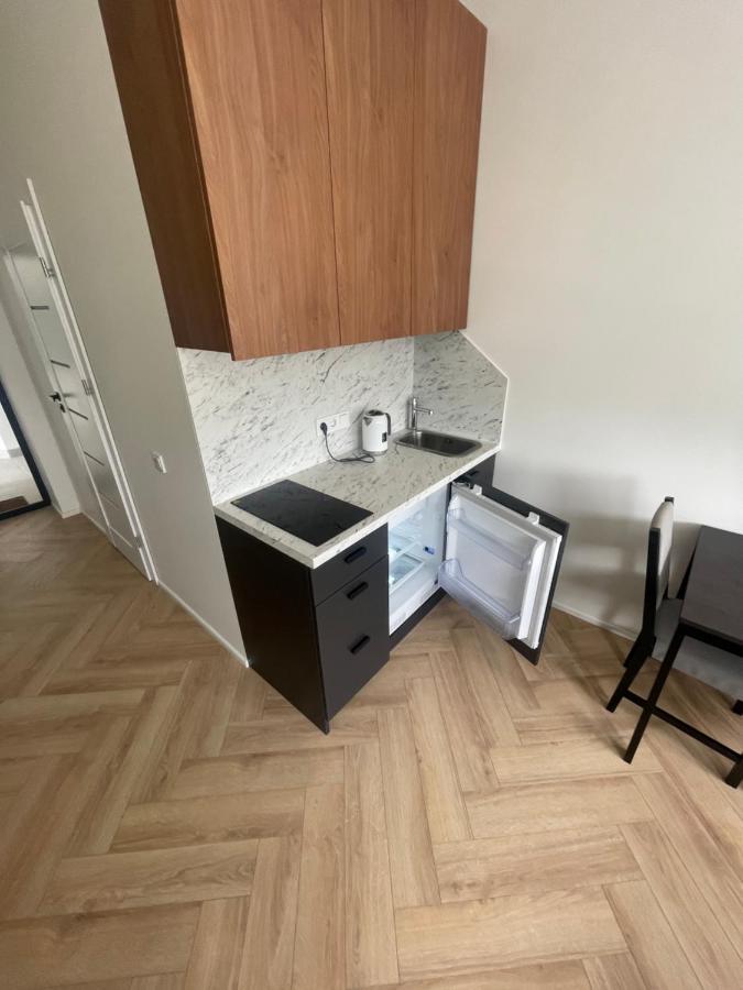 Airport Apartment 14 Self Check-In Free Parking VNO Kültér fotó