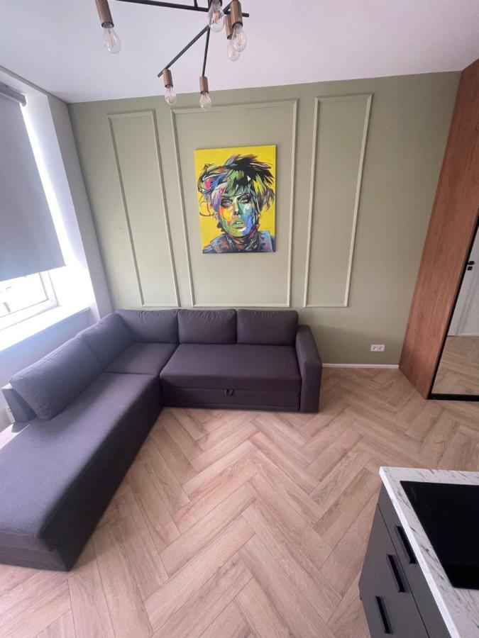 Airport Apartment 14 Self Check-In Free Parking VNO Kültér fotó